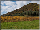 foto Colline Marosticane in Autunno